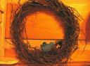 bird-nest-wreath.JPG